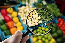 How Nutrition Research Is Changing What We Know About Food and Health